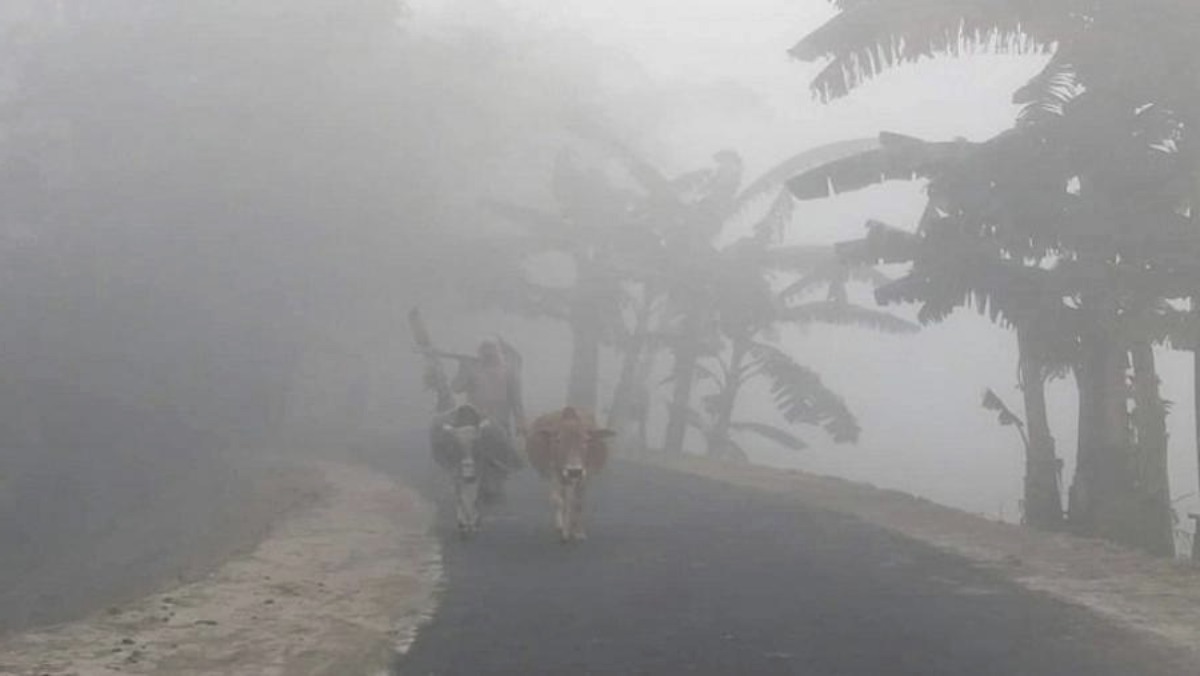 শুক্রবার থেকে তীব্র শৈত্যপ্রবাহের শঙ্কা