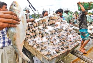 রাত থেকে ইলিশ ধরা নিষিদ্ধ ২ মাস