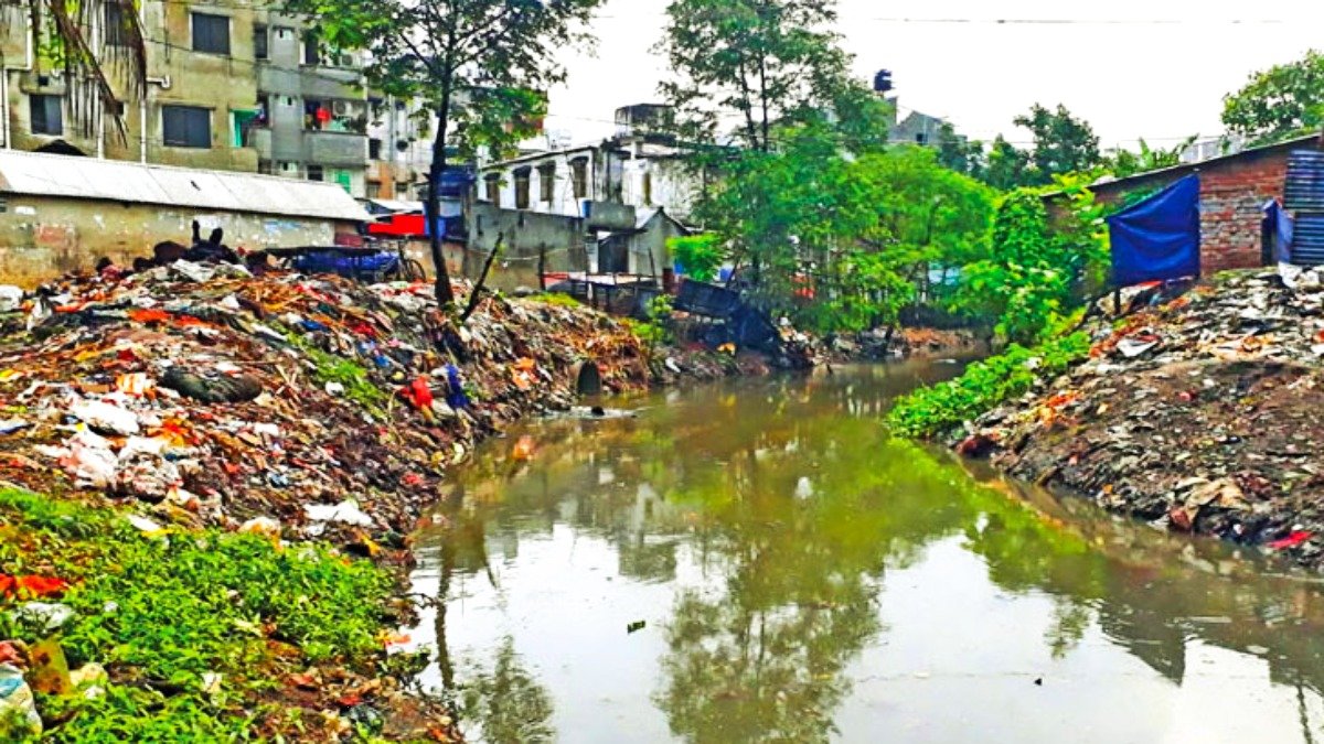 বাড়ছে মশা অতিষ্ঠ জনজীবন
