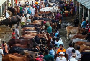 এবার যেভাবে বসবে কোরবানির পশুর হাট