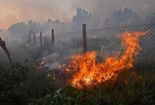 আলজেরিয়ায় ভয়াবহ দাবানলে ১০ সেনাসহ নিহত ৩৪