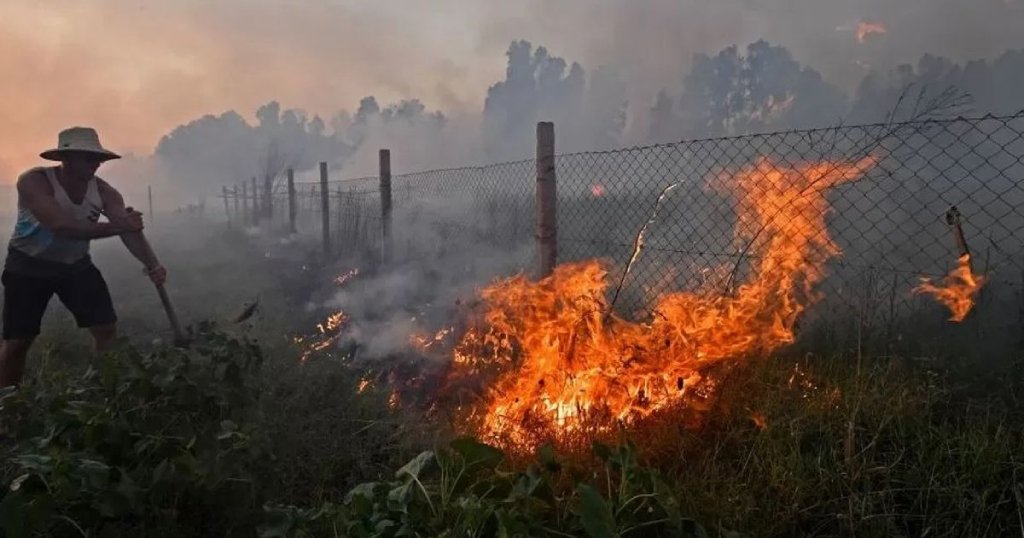 আলজেরিয়ায় ভয়াবহ দাবানলে ১০ সেনাসহ নিহত ৩৪