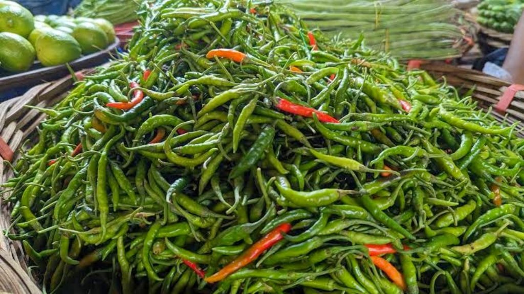 ফের কাঁচা মরিচের দাম কেজিতে ৫০০ টাকা